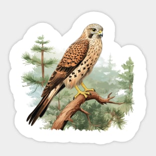 Kestrel Sticker